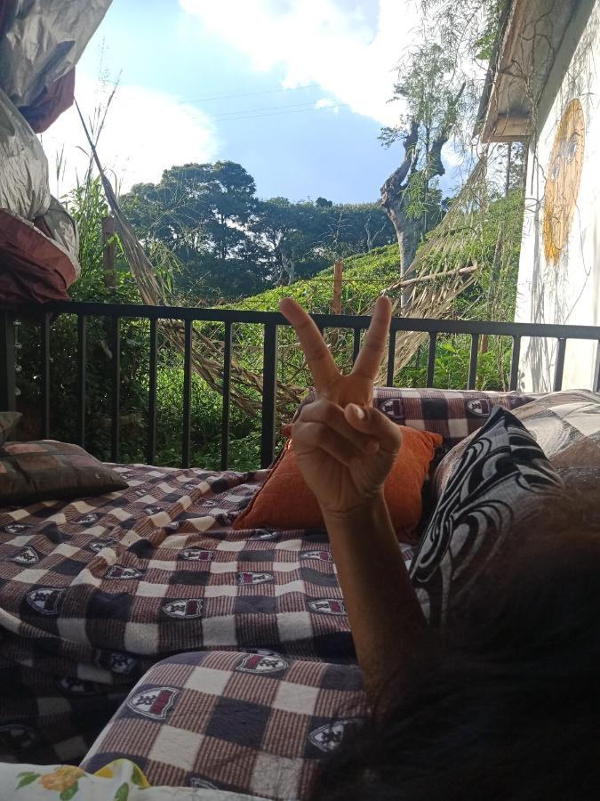 Tunnel Gap Homestay エッラ エクステリア 写真
