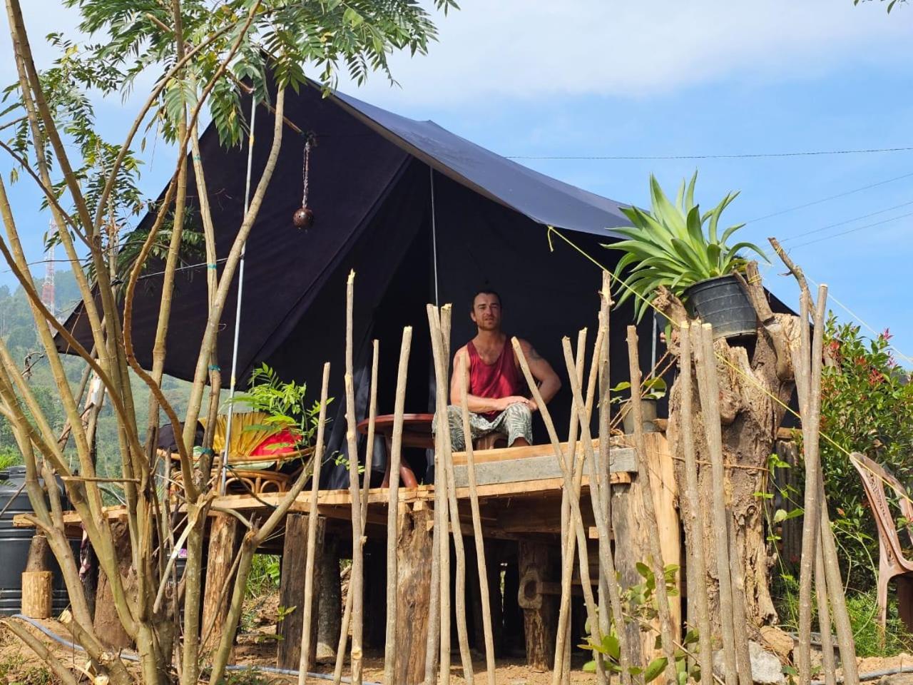Tunnel Gap Homestay エッラ エクステリア 写真