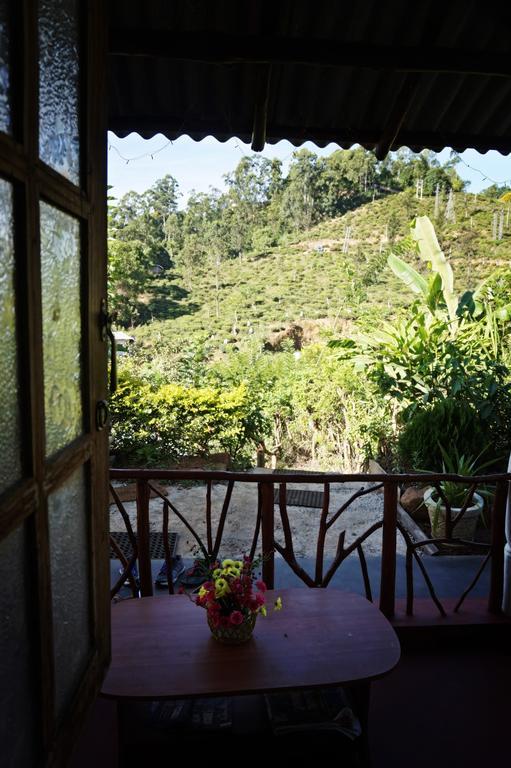 Tunnel Gap Homestay エッラ エクステリア 写真