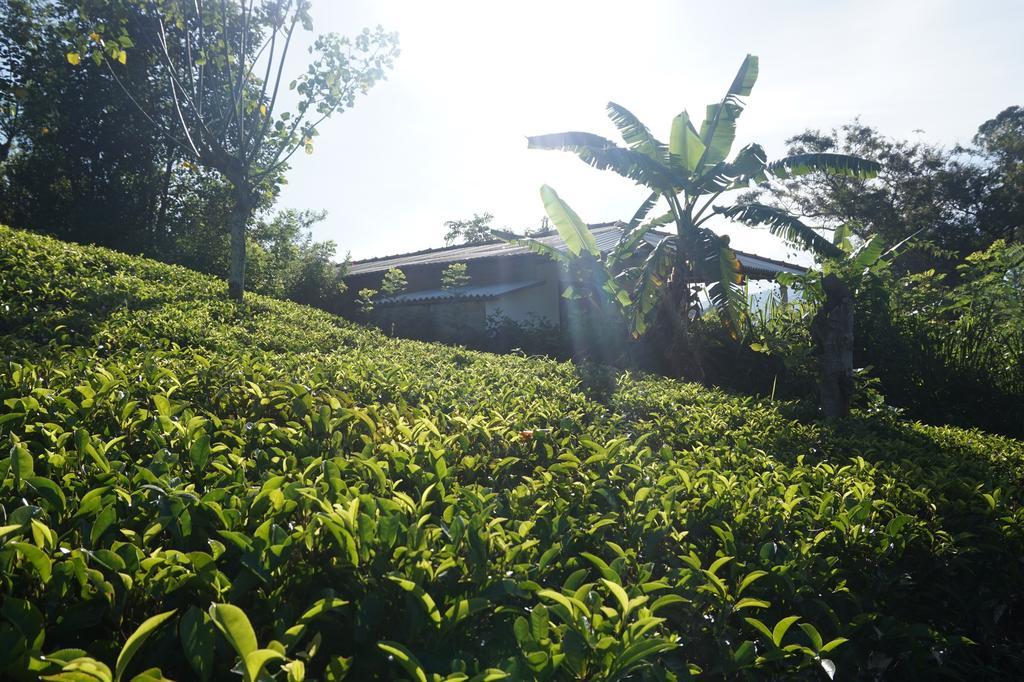 Tunnel Gap Homestay エッラ エクステリア 写真