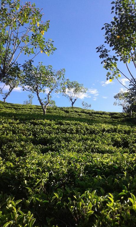 Tunnel Gap Homestay エッラ エクステリア 写真