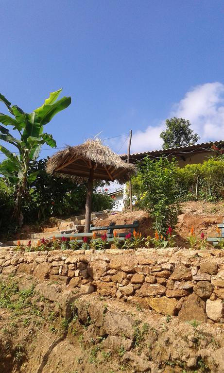 Tunnel Gap Homestay エッラ エクステリア 写真